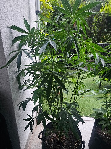Growreport Bild 20