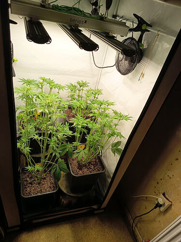 Growreport Bild 15