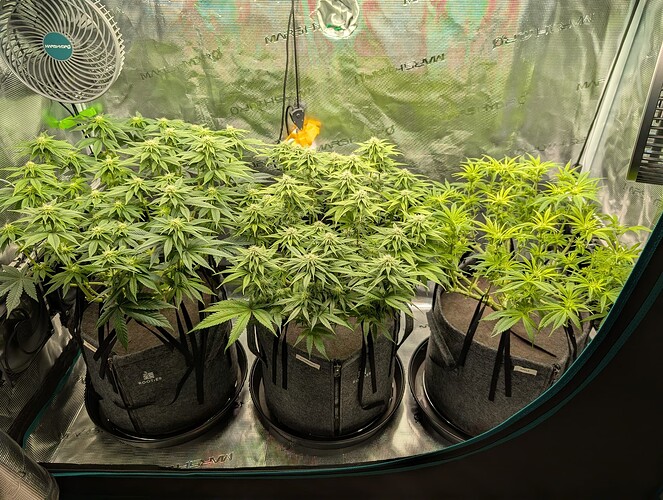 Growreport Bild 12