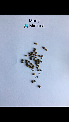 Growreport Bild 2