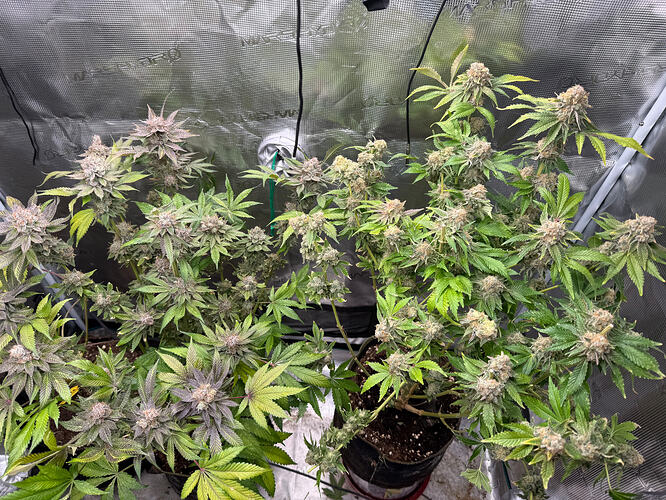 Growreport Bild 10