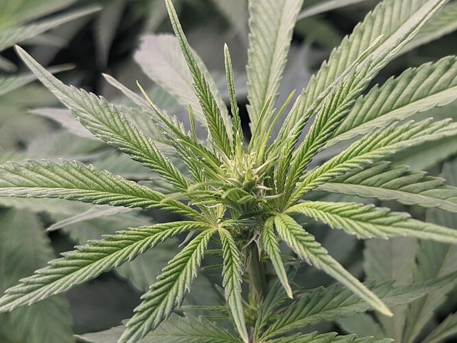 PXL_20240602_100634499