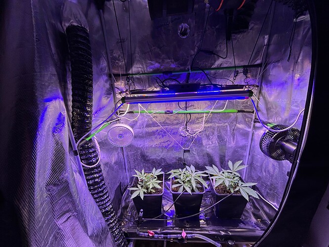 Growreport Bild 17