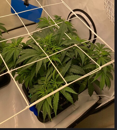 Growreport Bild 12