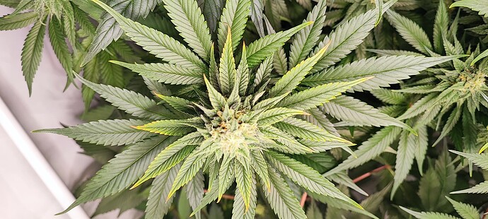 Growreport Bild 17