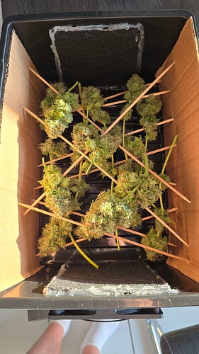 Growreport Bild 4
