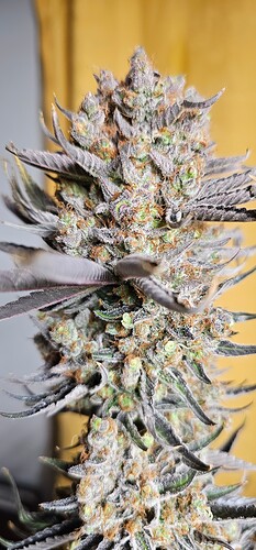 Growreport Bild 15