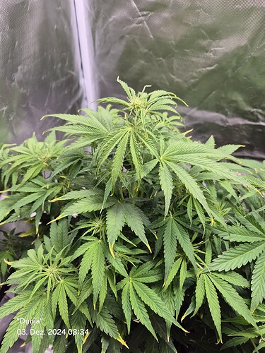 Growreport Bild 13