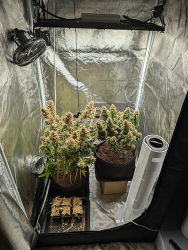 Growreport Bild 1