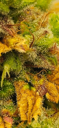 Growreport Bild 10