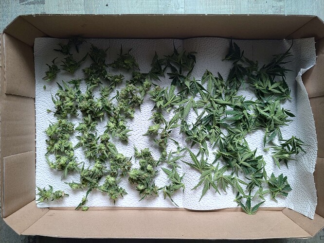 Growreport Bild 8