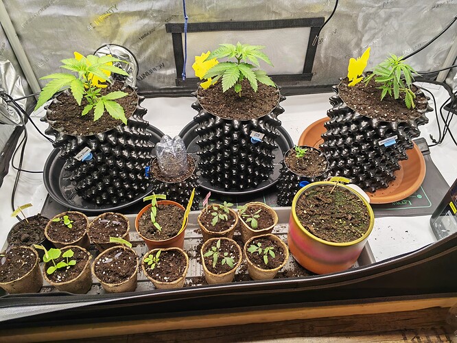 Growreport Bild 20