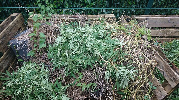 Growreport Bild 51