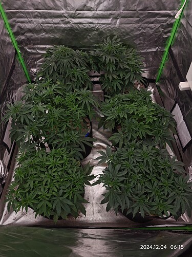 Growreport Bild 3