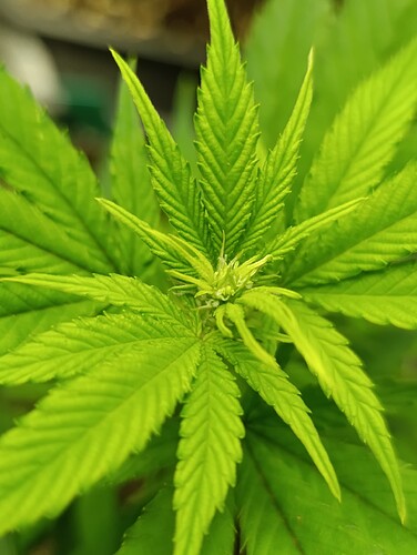 Growreport Bild 12
