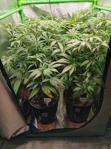 Growreport Bild 23