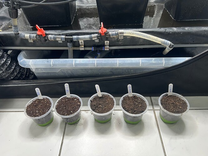 Growreport Bild 90