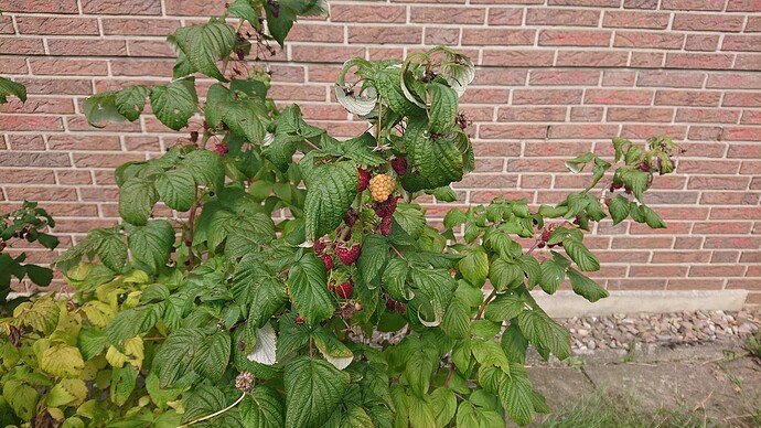 Growreport Bild 11