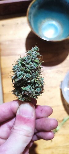Growreport Bild 18