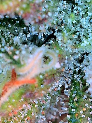 2025-07-25-20-56-47-038