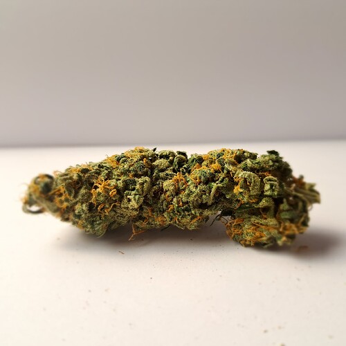 Growreport Bild 37