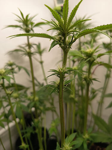 Growreport Bild 23