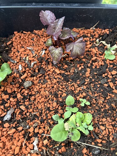 Growreport Bild 15