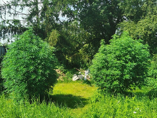 Growreport Bild 9