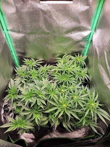 Growreport Bild 10