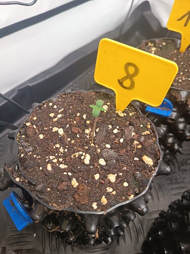 Growreport Bild 30