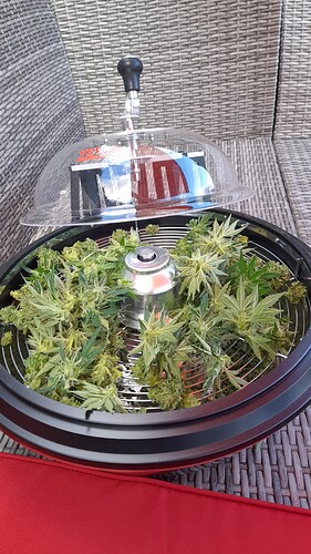 Growreport Bild 65