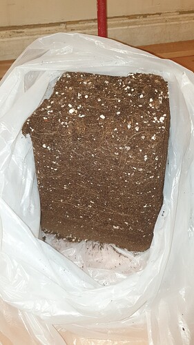 Growreport Bild 5