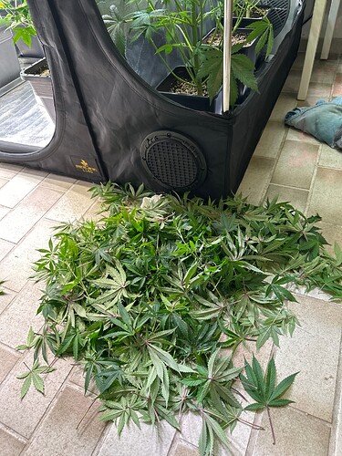 Growreport Bild 43