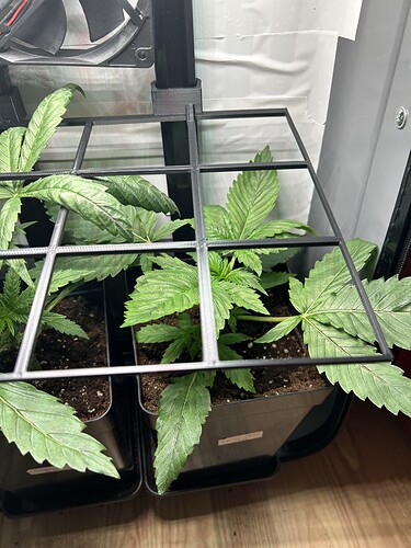 Growreport Bild 4