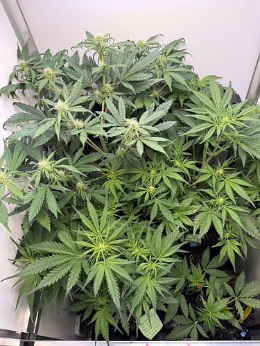 24-10-16 17-20-37 5703