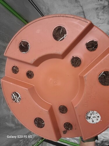 9ebb95539d9366e5420f1c6e4edc48ea0f56fafb_2_562x750