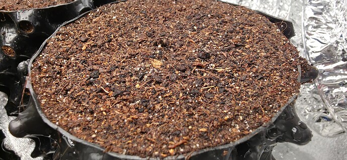 Growreport Bild 43