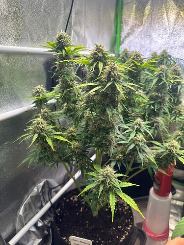 Growreport Bild 22