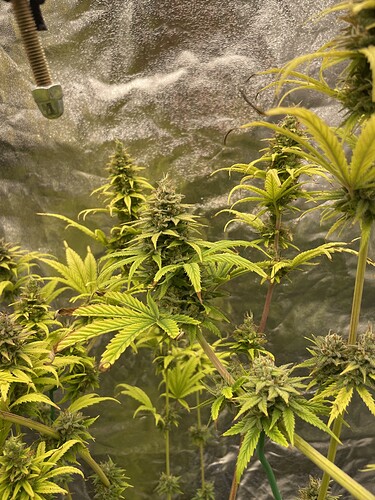 Growreport Bild 9