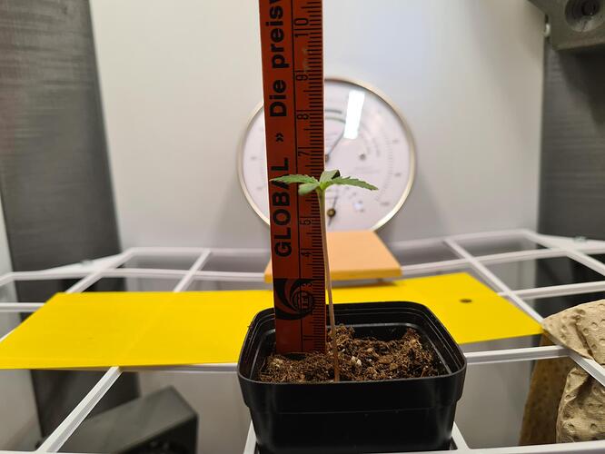 signal-2024-06-18-105045