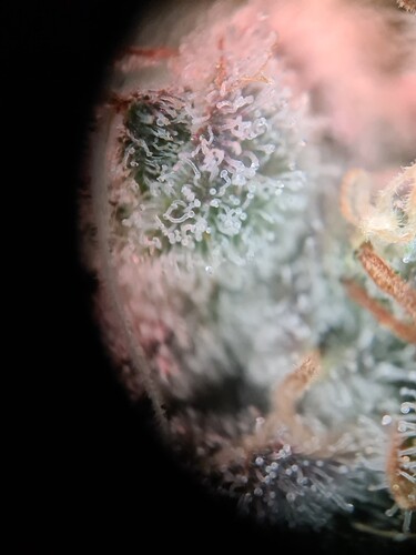Growreport Bild 23