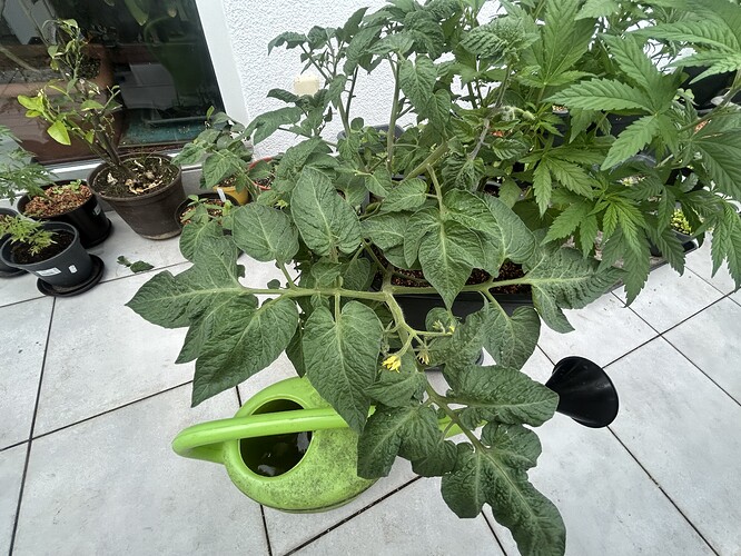 Growreport Bild 10