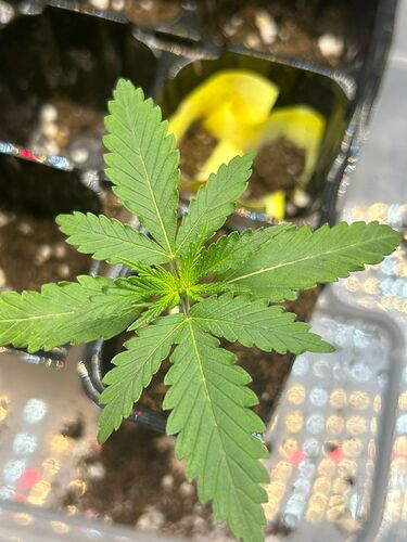 WhatsApp Image 2024-07-28 at 15.55.59