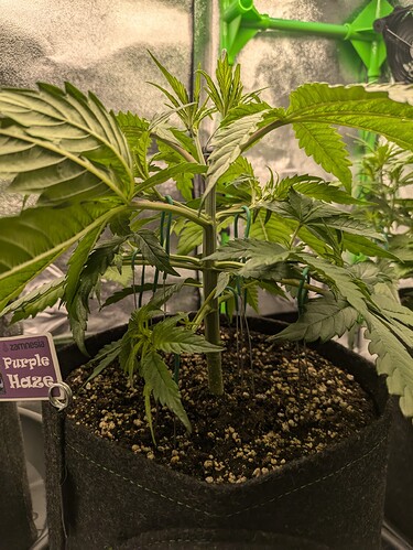 Growreport Bild 23