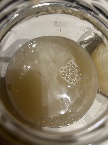 Growreport Bild 3