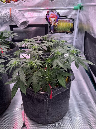 Growreport Bild 14
