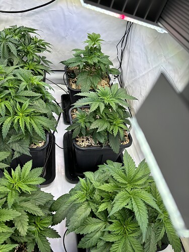 Growreport Bild 11