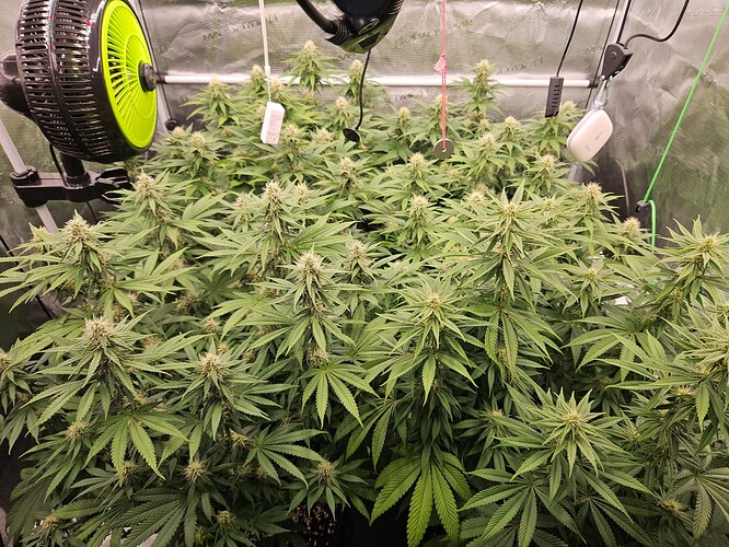 Growreport Bild 11