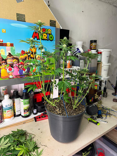 Growreport Bild 10