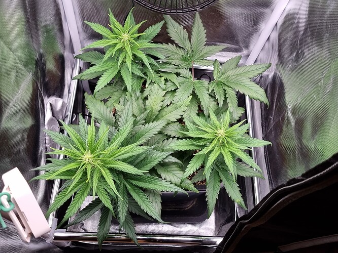 Growreport Bild 15